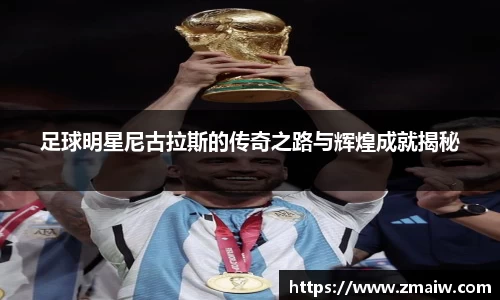 足球明星尼古拉斯的传奇之路与辉煌成就揭秘